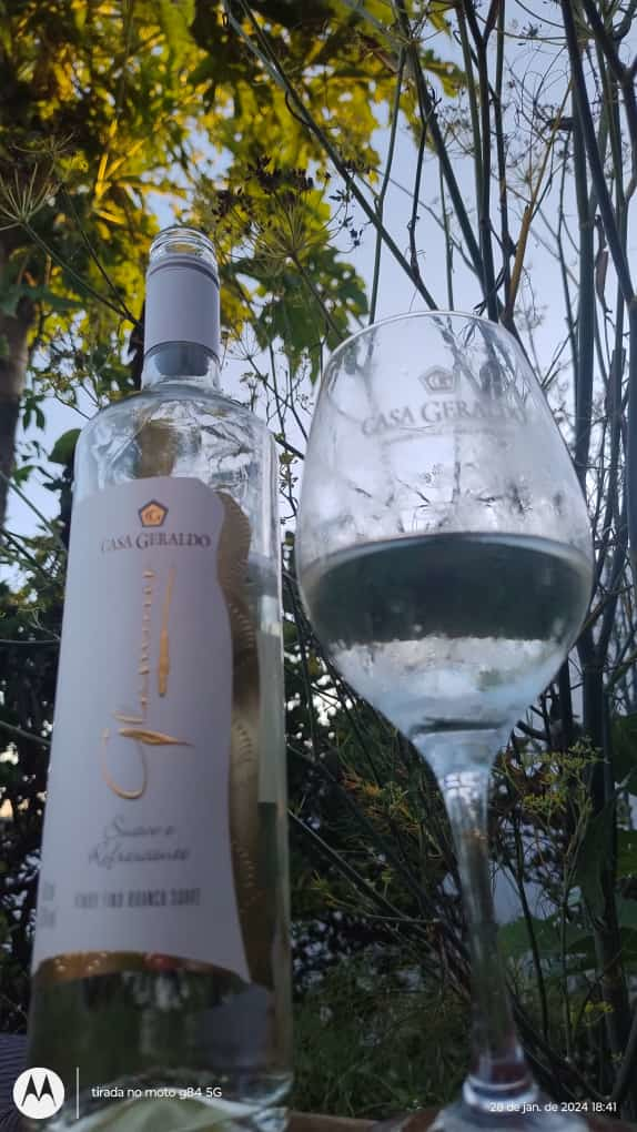 Vinho Fino Branco Suave e Refrescante