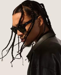 COLEÇÃO RAY-BAN 