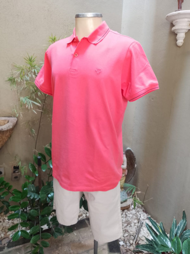 Camisa polo e Bermuda