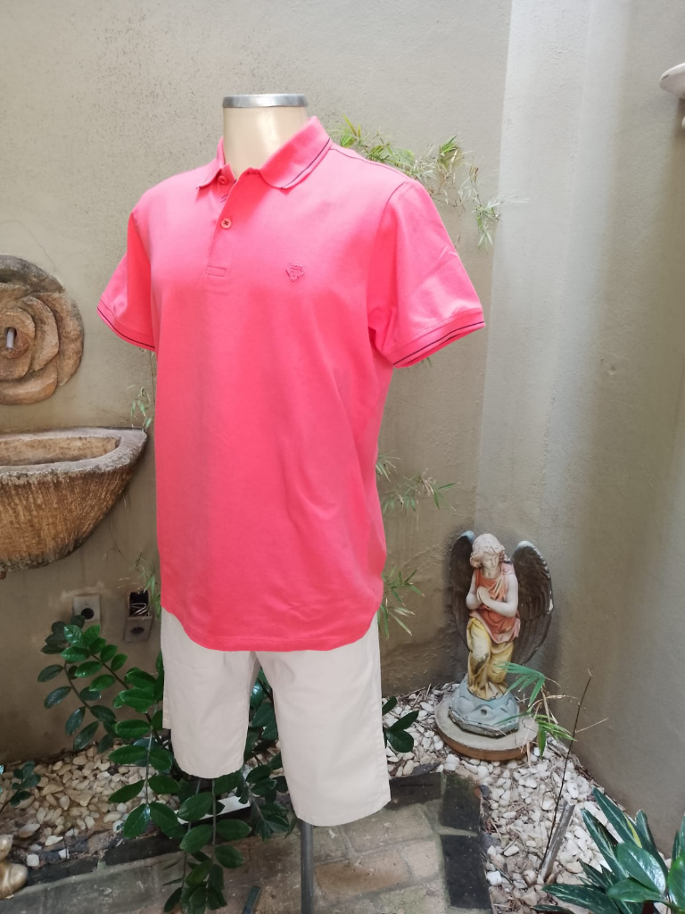 Camisa polo e Bermuda