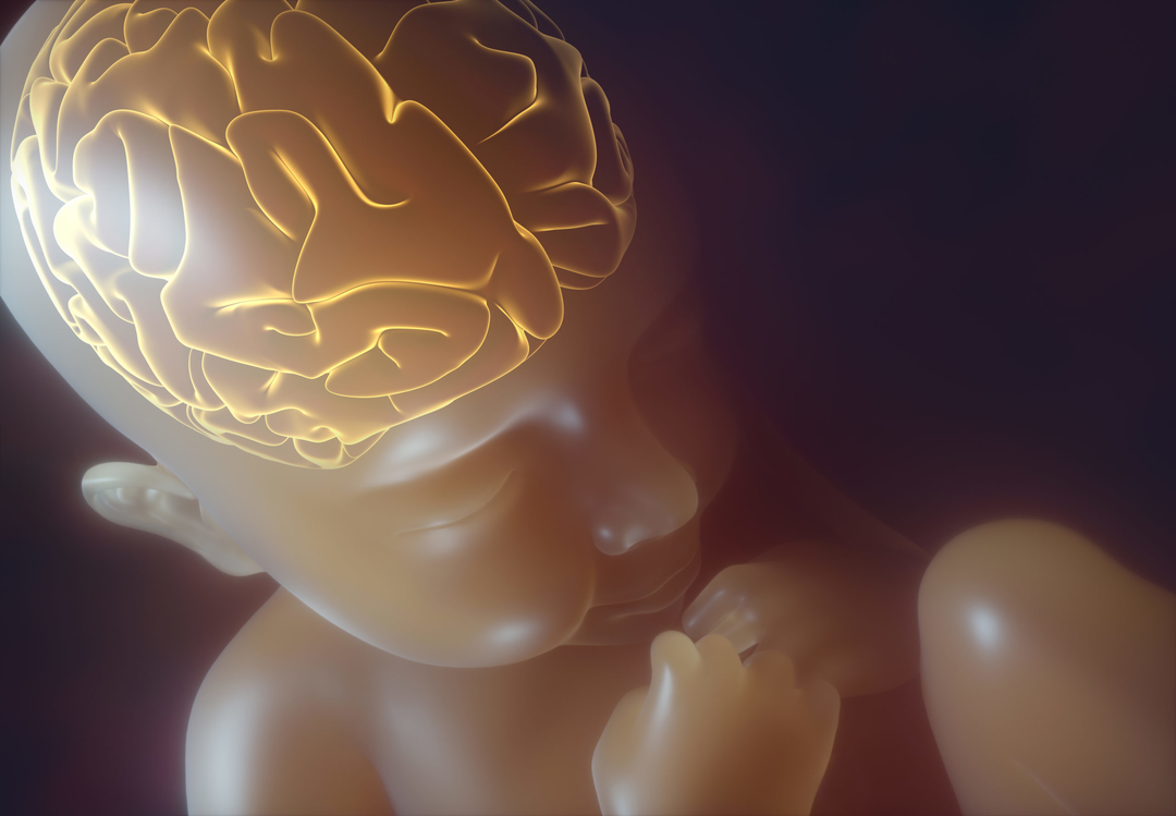 Avaliação Neuropsicológica para Transtornos do Neurodesenvolvimento