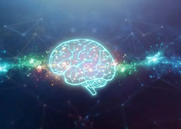 O Papel do Neuropsicólogo na Sua Saúde Mental